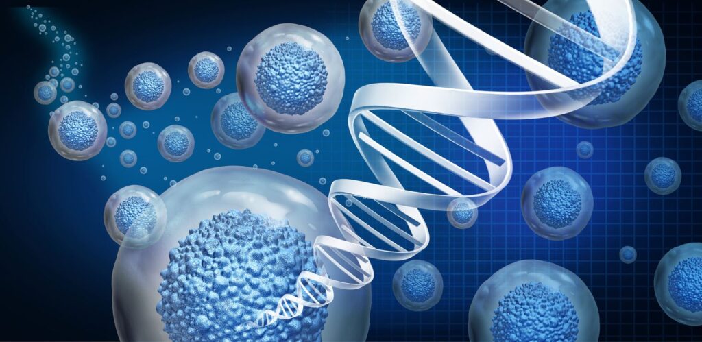 Illustration of cell regeneration